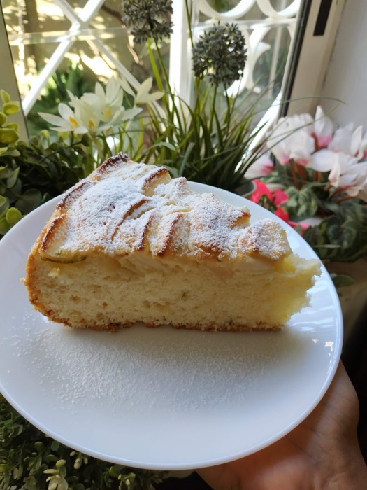 A slice of apple cake dusted with sugar