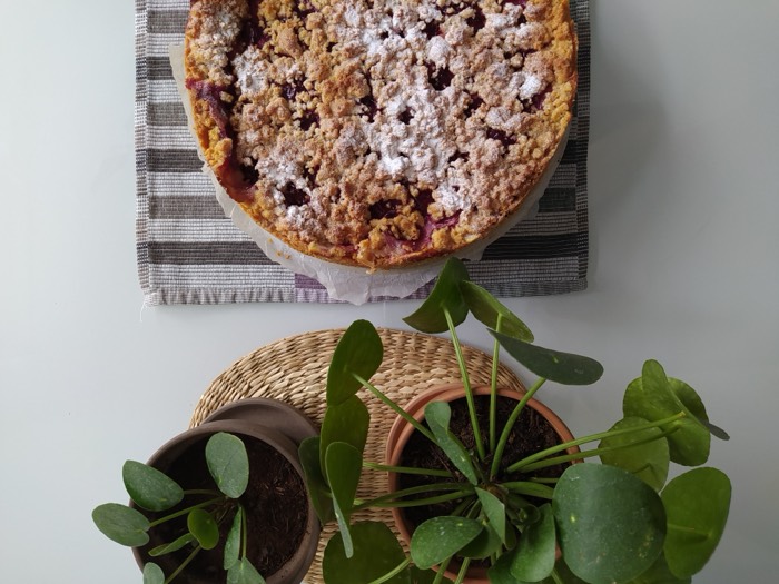 A berry crumble tart