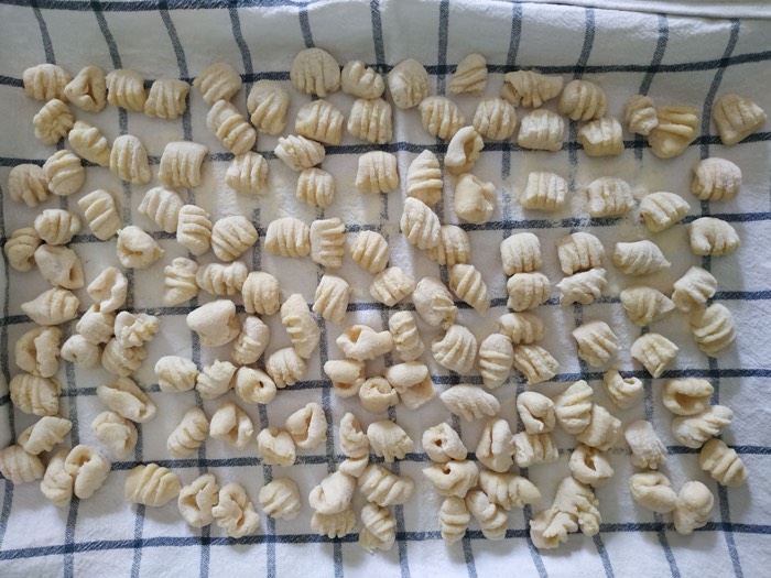 Rows of freshly shaped potato gnocchi