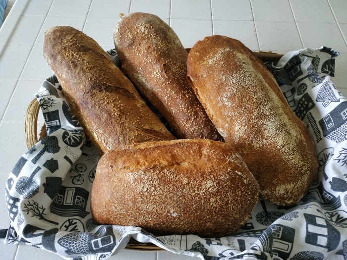 Three rustic loaves of bread in a basket